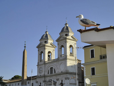 Spanish Steps penthouse seagull resting on roof